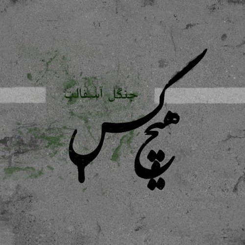 هیچکس قانون